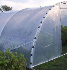 Large pollytunnel Green Houses PO Cloth Two steel Doors Plant Greenhouses Steel Frame 