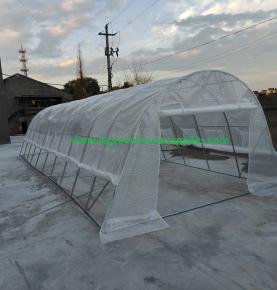 2024 NEW popular polytunnel greenhouses 10x4x2.3m Serre Tunnel De Jardin Film Greenhouses Supplies in China - 副本
