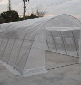 Large Walk-in Greenhouse Poly Tunnel Galvanised Steel Garden Plants Grow Tent